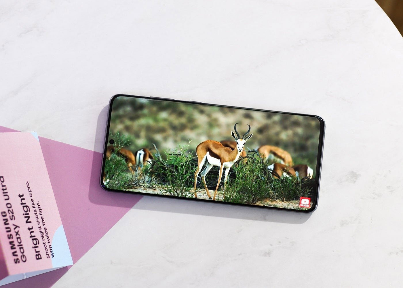 Samsung Galaxy S20 Plus, pantalla