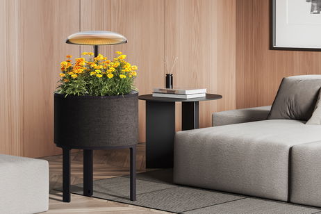 Lo nuevo de LG es una lámpara que cuida de tus plantas Lo nuevo de LG es una lámpara que cuida de tus plantas