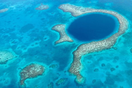 Han encontrado algo alucinante en el fondo del Gran Agujero Azul, una zona increíblemente profunda del planeta