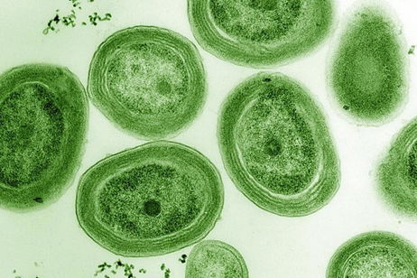 La tierra cada vez gira más despacio, y eso podría explicar por qué tenemos oxígeno La tierra cada vez gira más despacio, y eso podría explicar por qué tenemos oxígeno